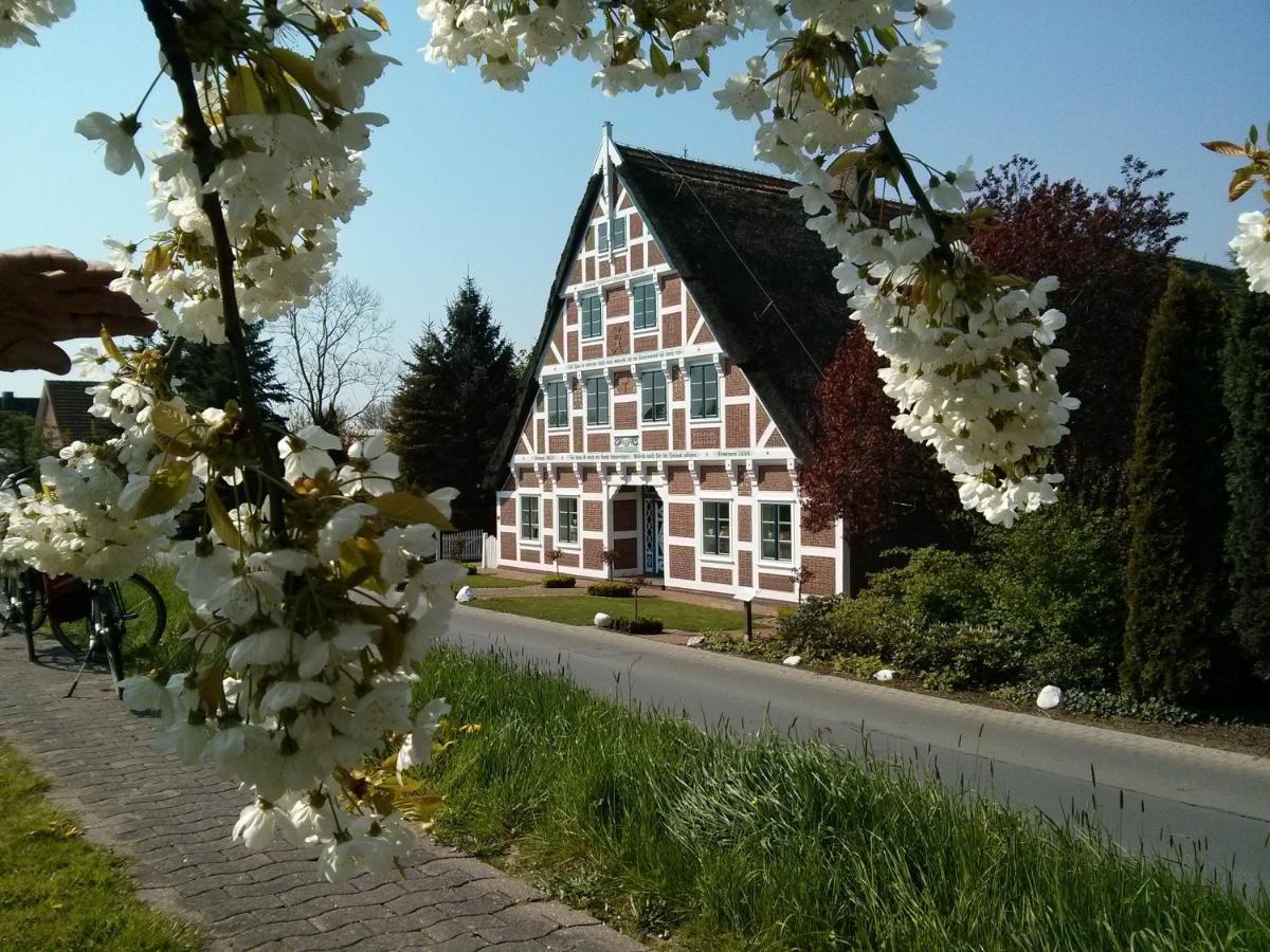 Fewo Elbblick im Haus Lühegarten Grünendeich Exterior foto