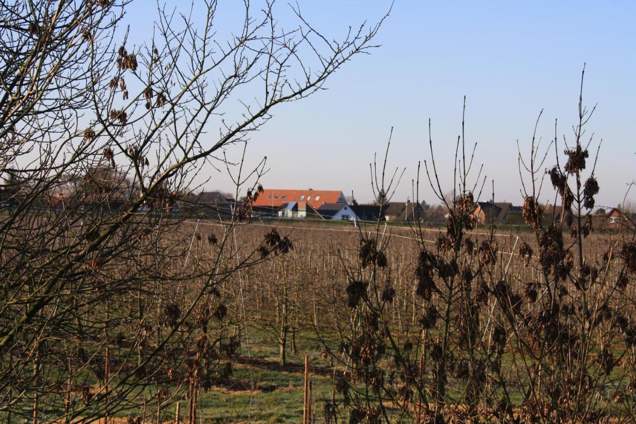 Fewo Elbblick im Haus Lühegarten Grünendeich Exterior foto
